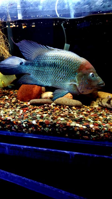 20201001_121208.jpg
