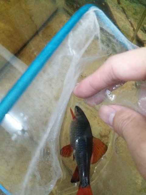 20201003_104256.jpg