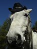 DSC04776.JPG