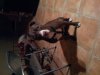 IMG_0033.JPG IMG_0033.JPG