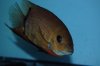 DSC_1655.JPG