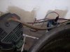 pond setup 006.jpg