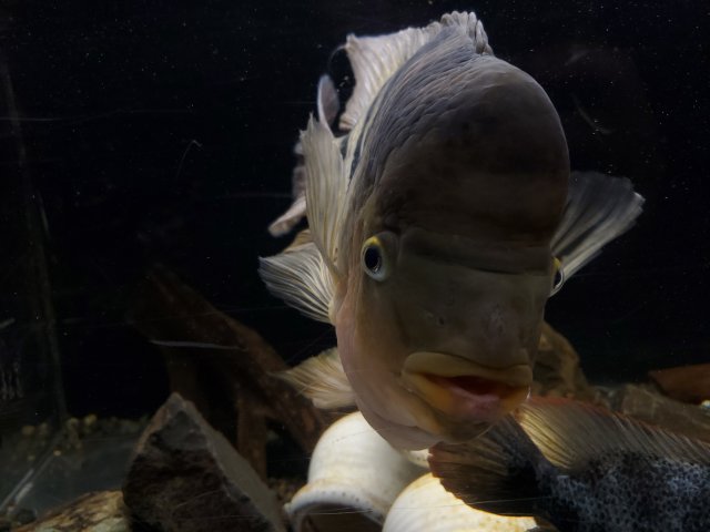 20201004_094847.jpg