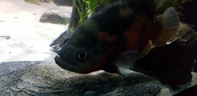 20201005_202734.jpg