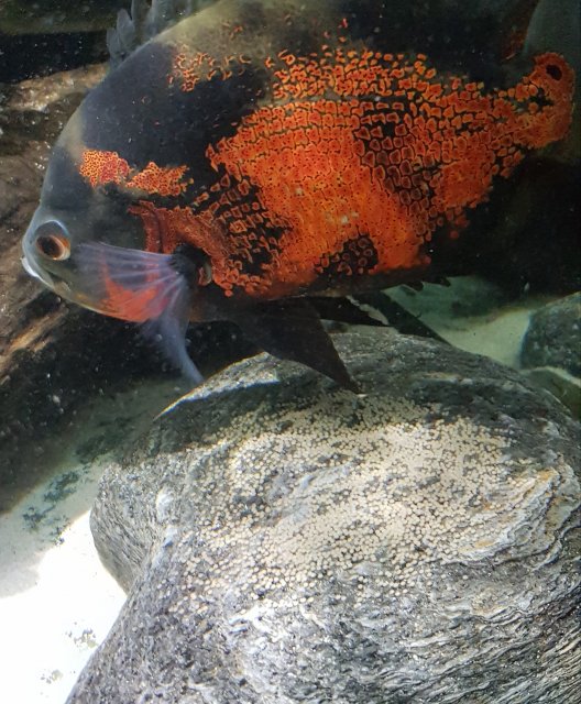 20201005_202708.jpg