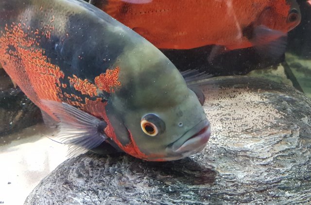 20201005_184513.jpg