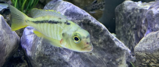 1DDF1A80-A913-4070-AB89-9C494C09171A.jpeg 1DDF1A80-A913-4070-AB89-9C494C09171A.jpeg