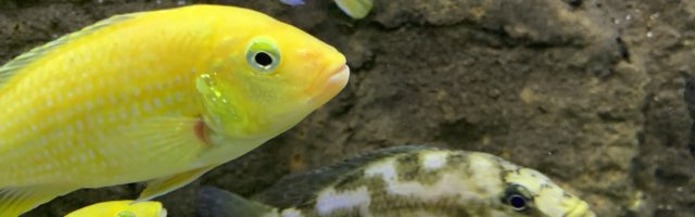 38AB2D3C-5128-43B0-BE3D-A7487FA08B18.jpeg 38AB2D3C-5128-43B0-BE3D-A7487FA08B18.jpeg