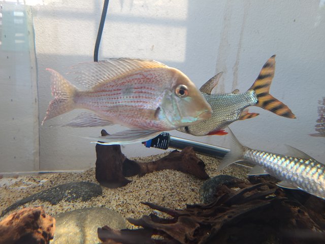 20200920_131241.jpg 20200920_131241.jpg