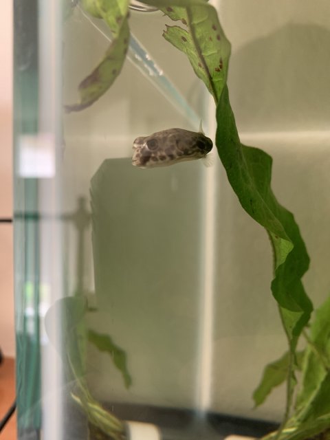 6B0BC303-91FE-4297-BDCD-B9D1B32D4042.jpeg 6B0BC303-91FE-4297-BDCD-B9D1B32D4042.jpeg