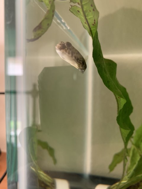 02C97BA0-88C0-4685-A25B-2A4625EF2A14.jpeg 02C97BA0-88C0-4685-A25B-2A4625EF2A14.jpeg