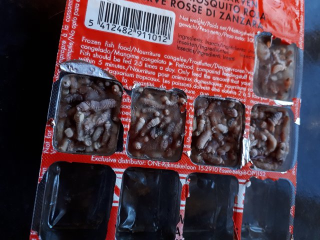 20201004_182047.jpg