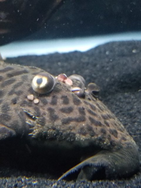 20201015_101358.jpg 20201015_101358.jpg