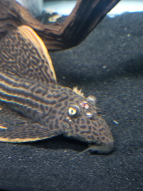 20201015_101317.jpg 20201015_101317.jpg