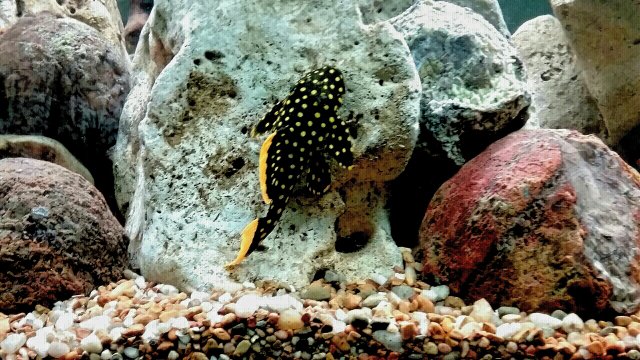 20200927_081424.jpg 20200927_081424.jpg