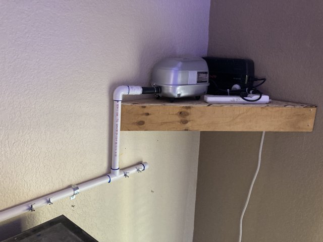 CDA94781-5734-46DF-BEEE-31896B18D298.jpeg