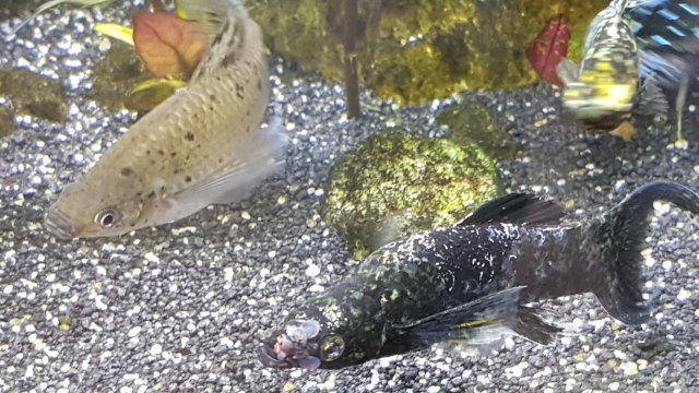 20201009_110428.jpg 20201009_110428.jpg