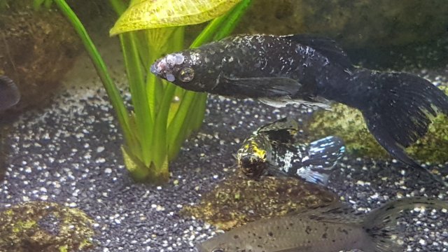 20201009_110453.jpg 20201009_110453.jpg