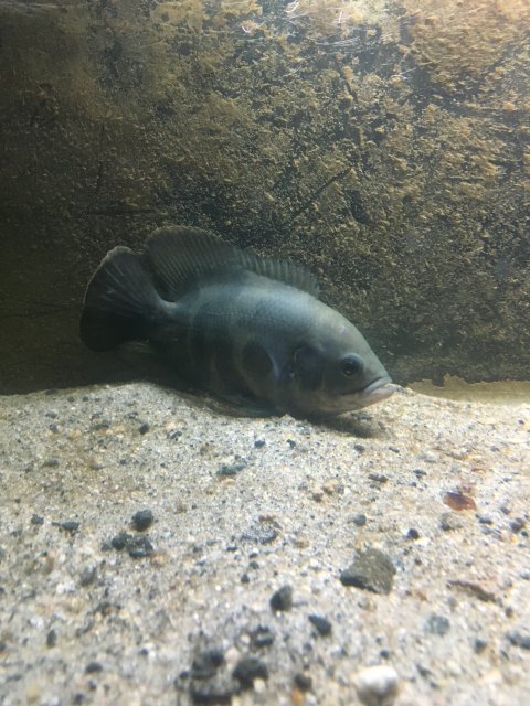 679570FF-453F-4BB4-999C-D17C676F8C92.jpeg 679570FF-453F-4BB4-999C-D17C676F8C92.jpeg