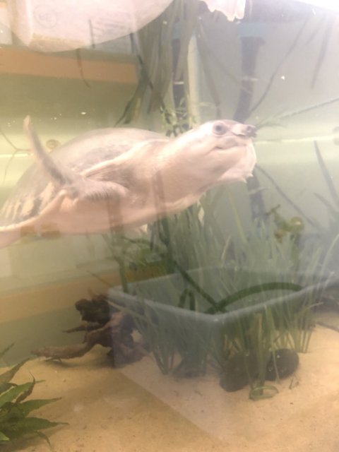 IMG_2073.jpeg