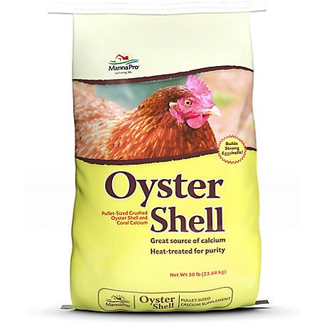 Oyster Shell.jpg