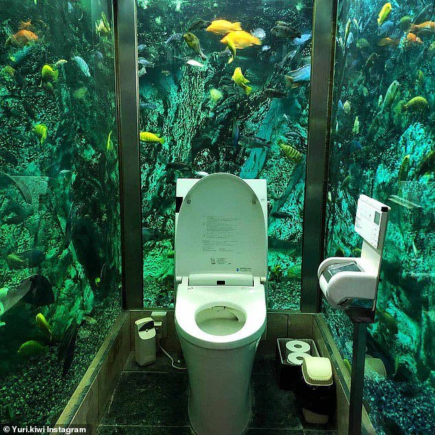 Toilet Tank.jpg