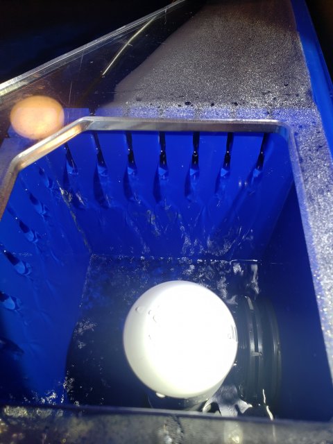 20201019_160142.jpg 20201019_160142.jpg