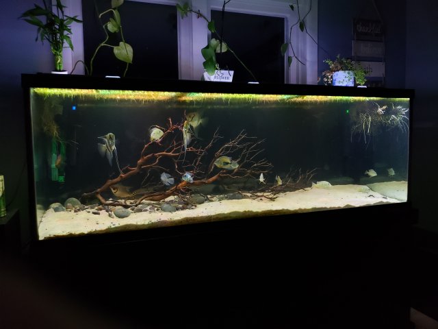 20201021_200510.jpg