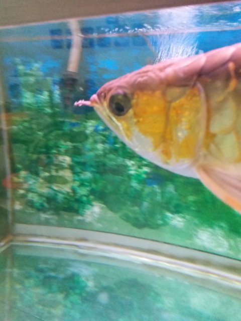 20201022_211655.jpg 20201022_211655.jpg