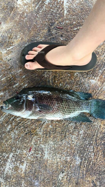 IMG_4579.PNG IMG_4579.PNG