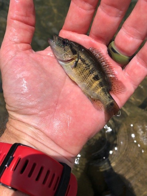 IMG_3866.JPG IMG_3866.JPG