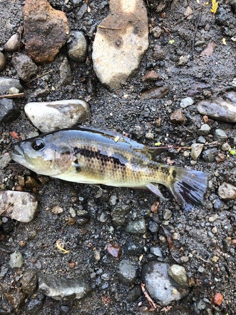 IMG_3874.JPG IMG_3874.JPG