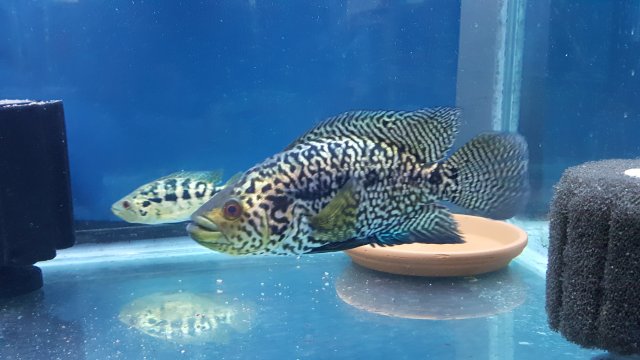 20200917_155109.jpg