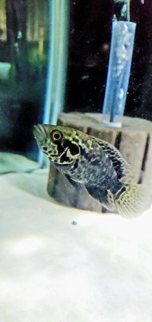 20201002_162553.jpg