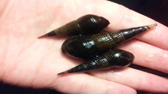 20201023_060516.jpg