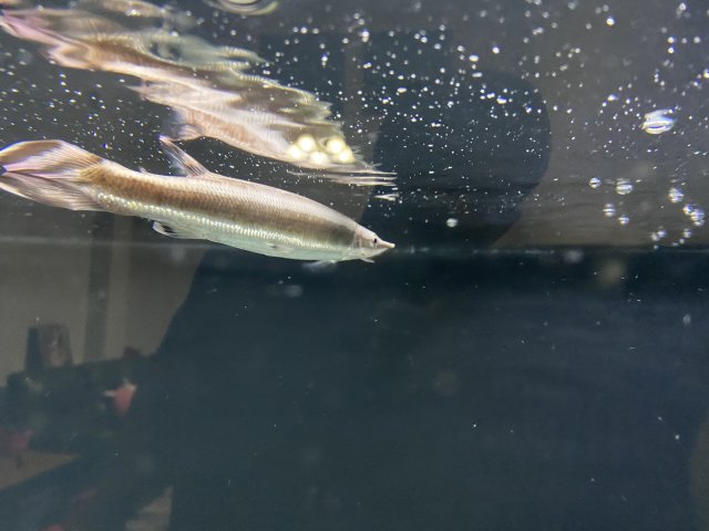 D05136F8-2A3E-4CF6-B063-5DB9E0FEADDE.jpeg D05136F8-2A3E-4CF6-B063-5DB9E0FEADDE.jpeg