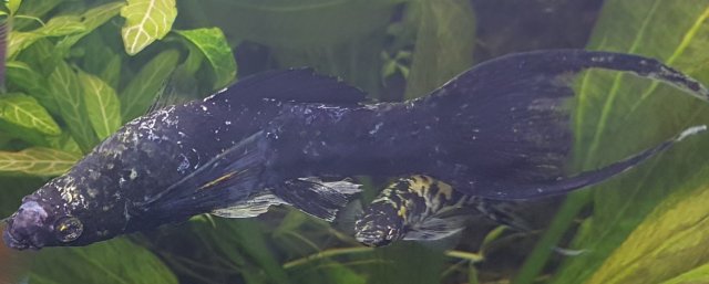 20201025_115125 (2).jpg