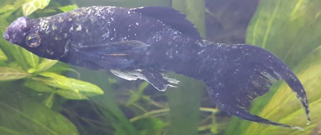 20201025_115152 (2).jpg