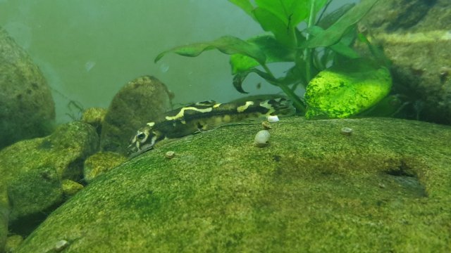 20201023_215455.jpg