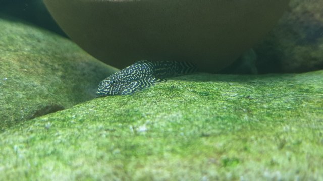20201023_220122.jpg
