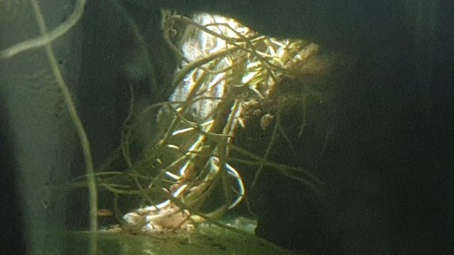 IMG_20200907_223839.jpg