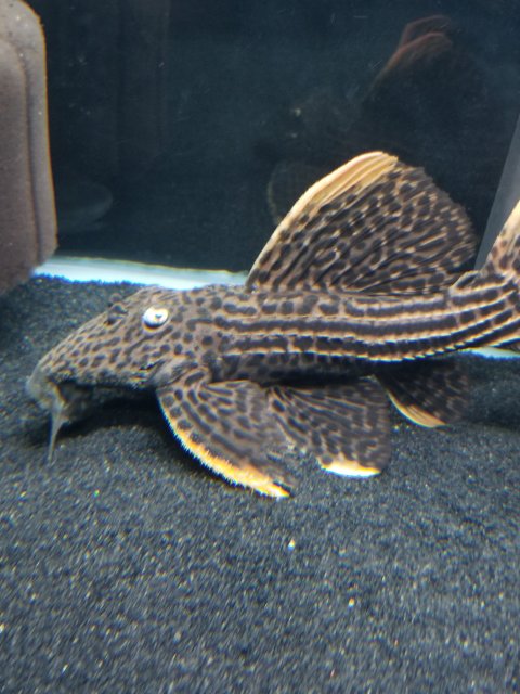 20201027_100452.jpg 20201027_100452.jpg