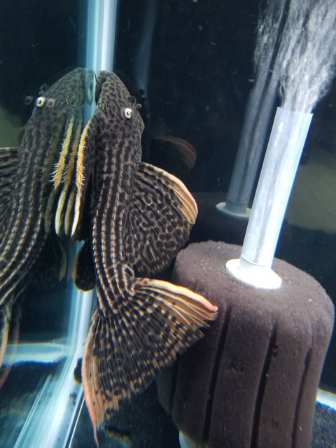 20201027_100225.jpg 20201027_100225.jpg