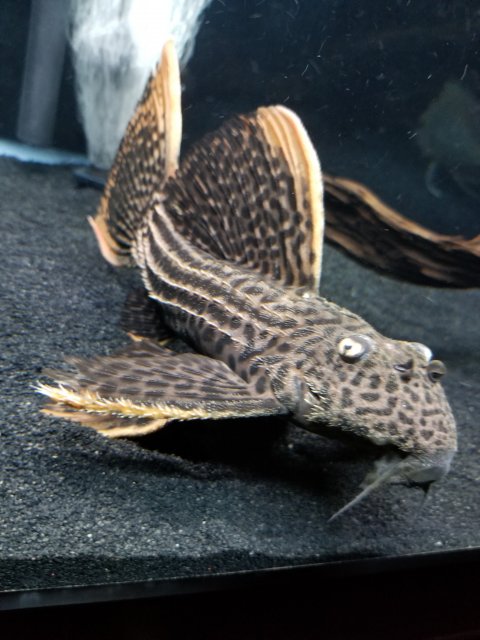 20201027_100551.jpg 20201027_100551.jpg