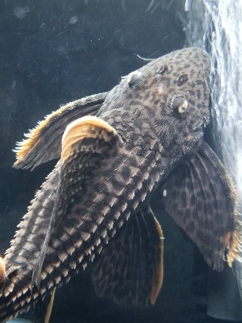 20201027_100400.jpg 20201027_100400.jpg