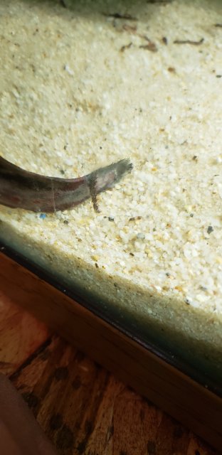20201027_091205.jpg