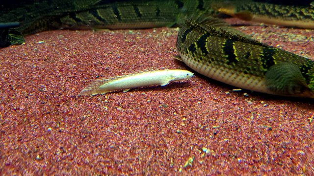 20201028_083219.jpg