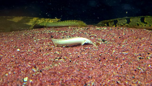 20201028_083548.jpg