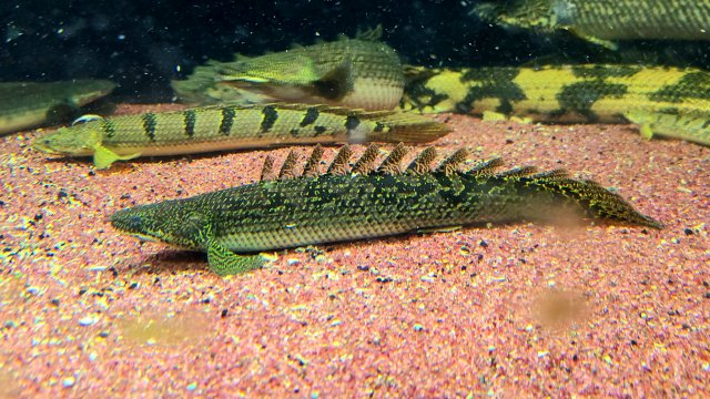 20201028_103329.jpg