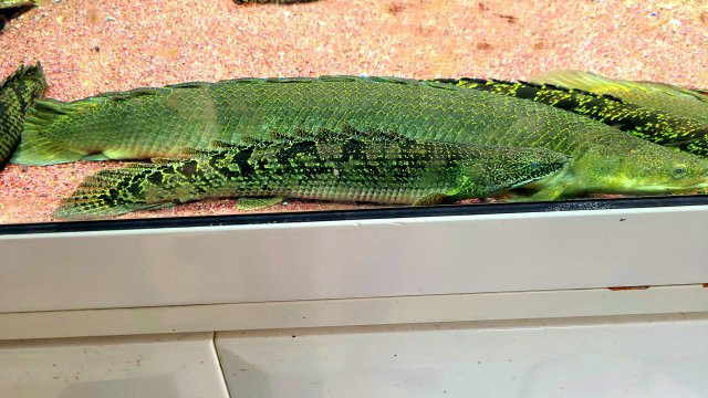 20201028_103257.jpg